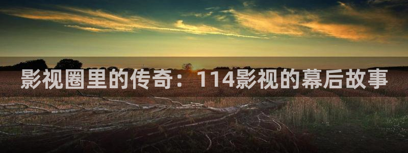桃花影视大全免费观看
