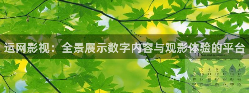 桃花影院入口永久