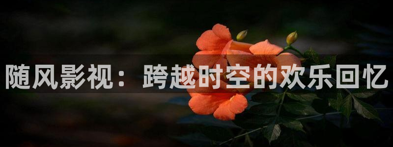 老电影桃花运在线观看