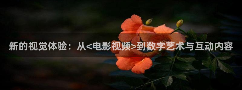 桃花源视频